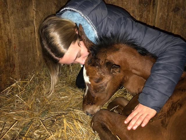 My Milou als neugeborenes Fohlen mit Sarah Philine Koch, 2020